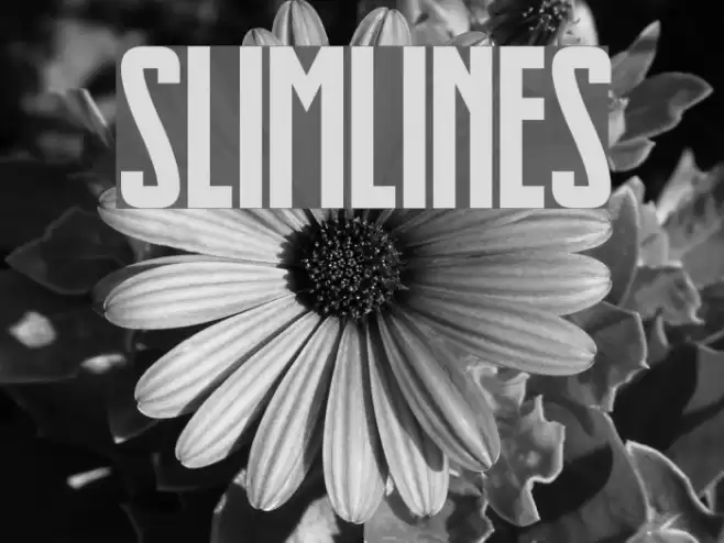 Slimlines Font examples