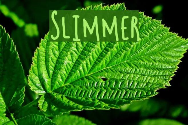 Slimmer Example 1