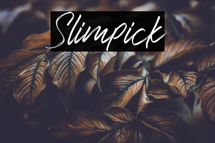 Slimpick Example 1