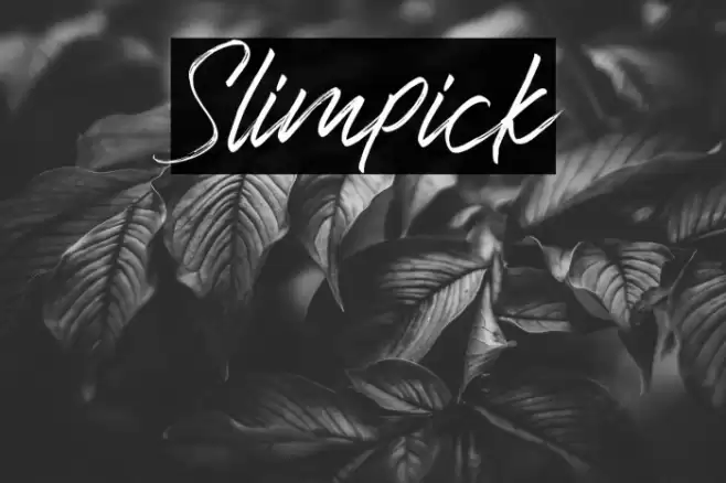 Slimpick Font examples