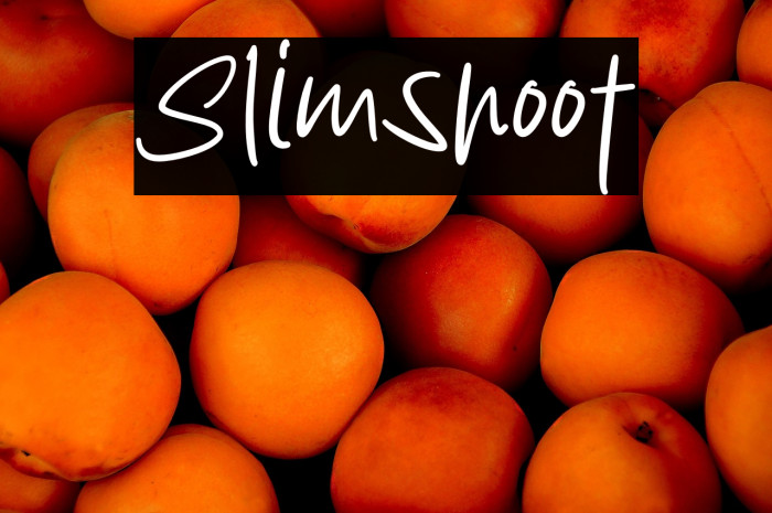 Slimshoot Example 1