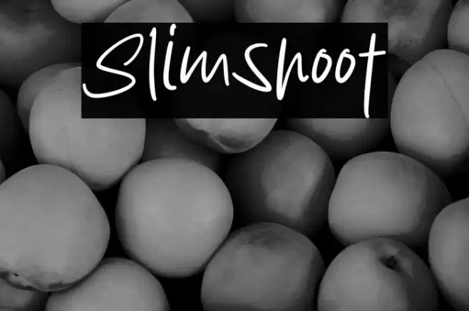 Slimshoot Font examples