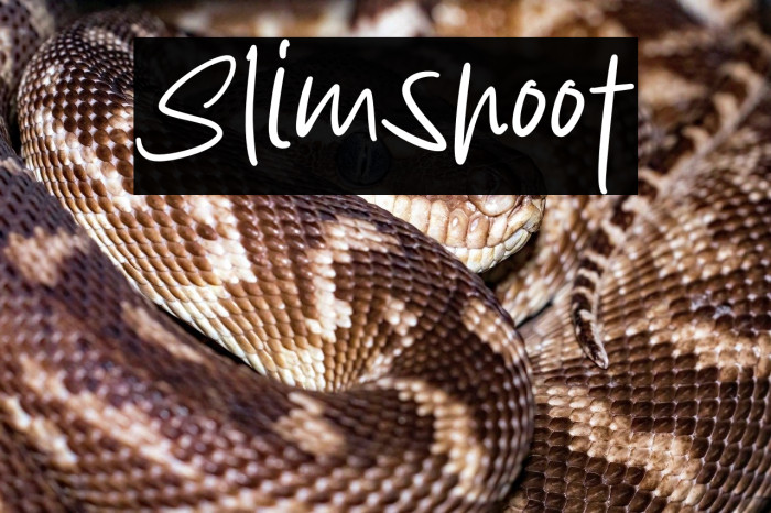 Slimshoot Example 2
