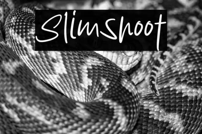 Slimshoot Font examples