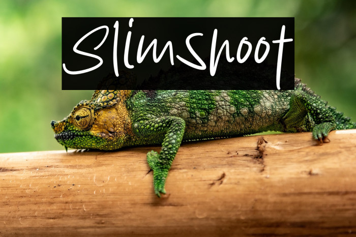 Slimshoot Example 3
