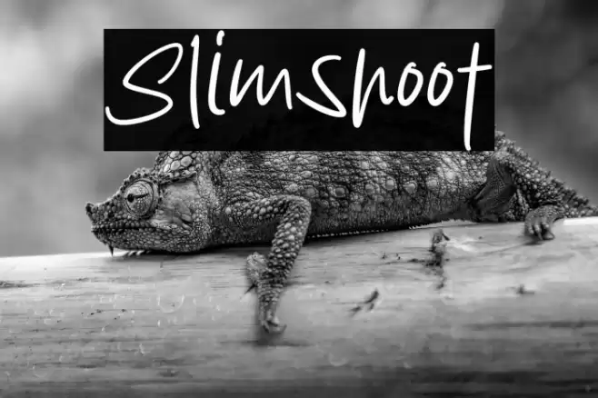 Slimshoot Font examples