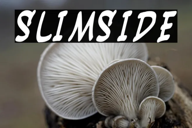 Slimside Example 2