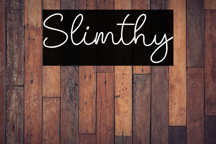 Slimthy Example 3