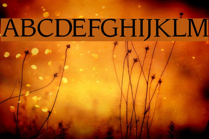 Sling Light Font examples