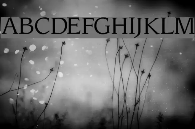 Sling Light Font examples