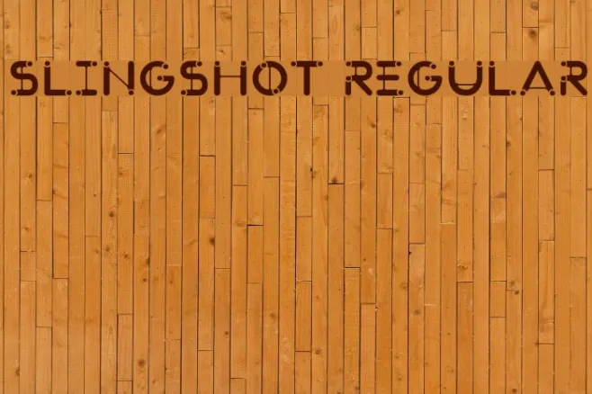 SlingShot Regular Example 2