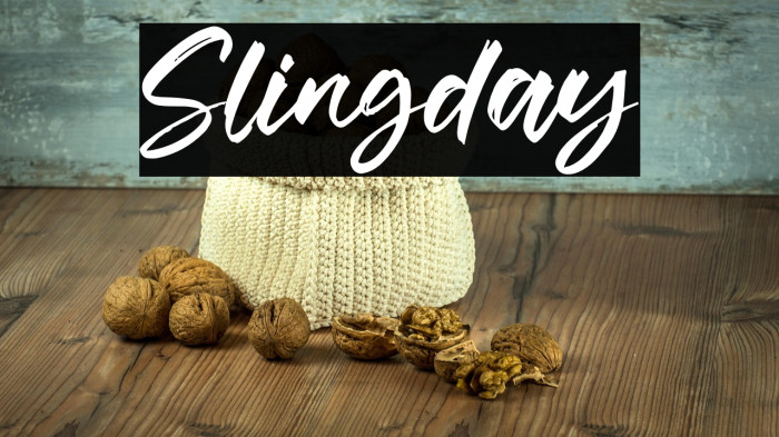 Slingday Example 1