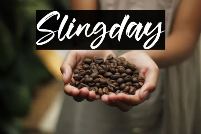 Slingday Example 2