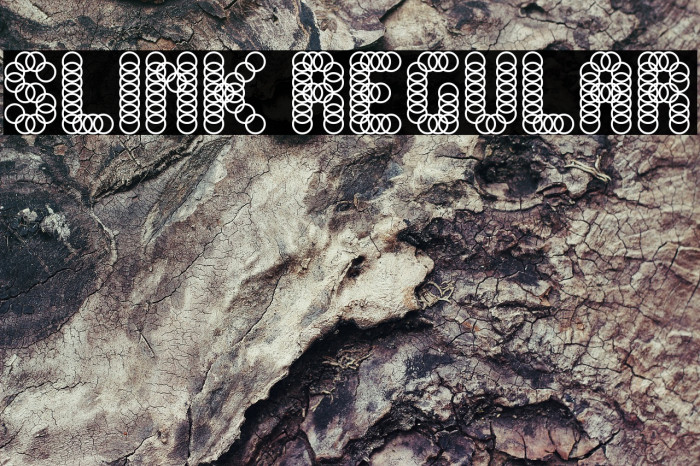 Slink Regular Font examples
