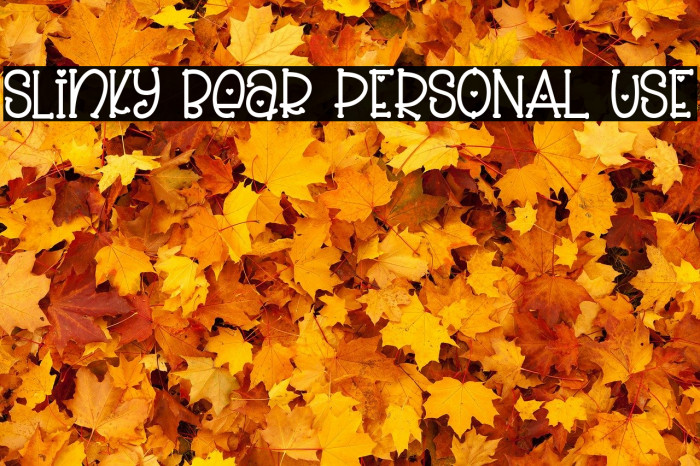 Slinky Bear PERSONAL USE Example 1