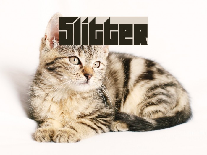 Slitter Шрифта examples