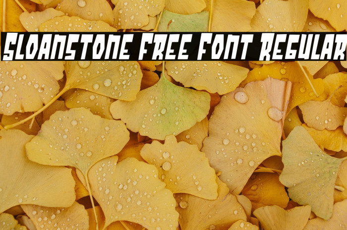 Sloanstone Free Font Regular Example 1