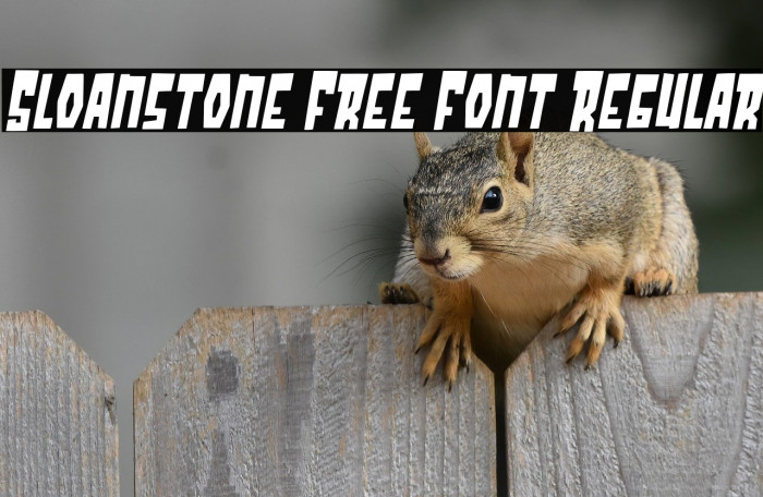 Sloanstone Free Font Regular Example 3
