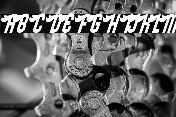 SloeGinRickey-Regular Example 3