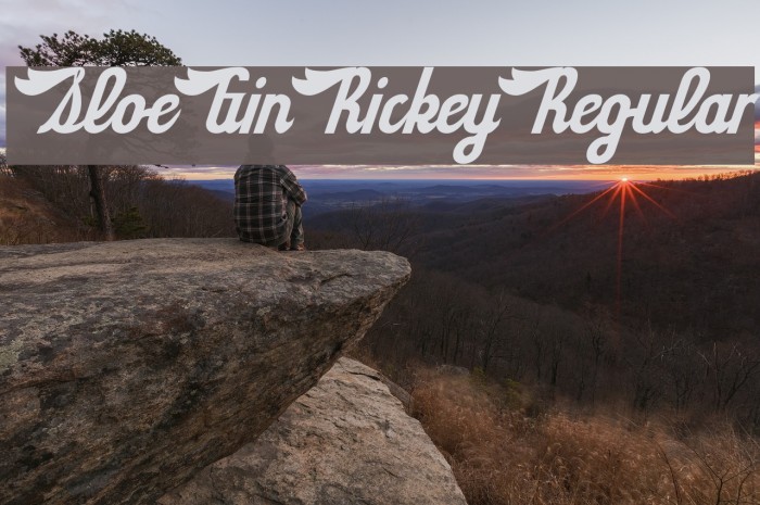 SloeGinRickey-Regular Font examples