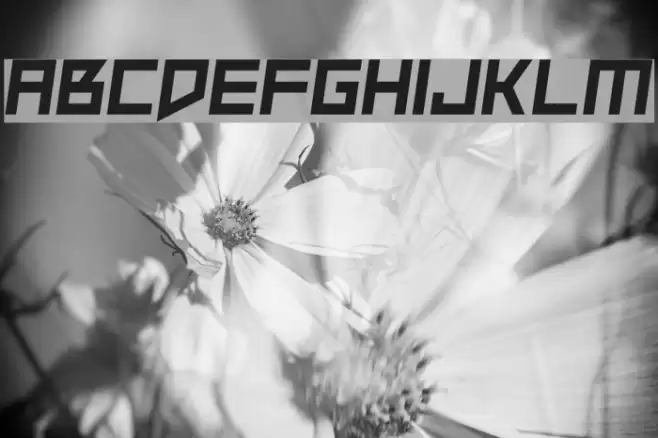 Slope Opera Font examples