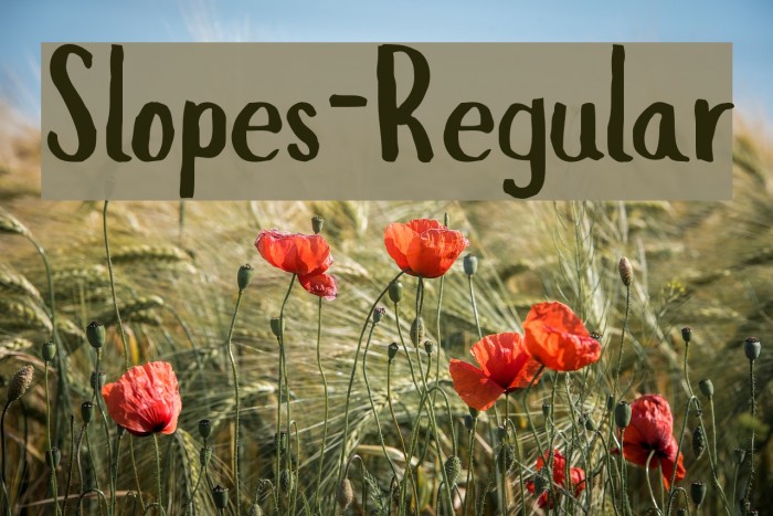 Slopes-Regular Font examples