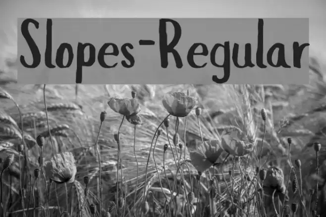 Slopes-Regular Fuentes examples