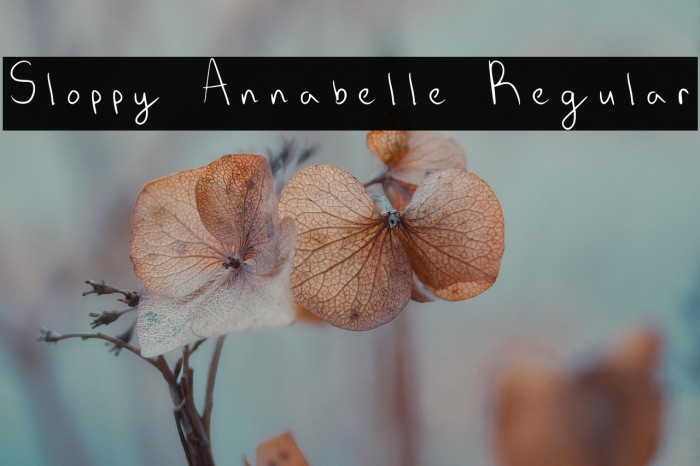 Sloppy Annabelle Regular Example 3