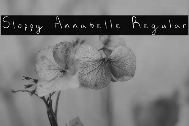 Sloppy Annabelle Regular Font examples
