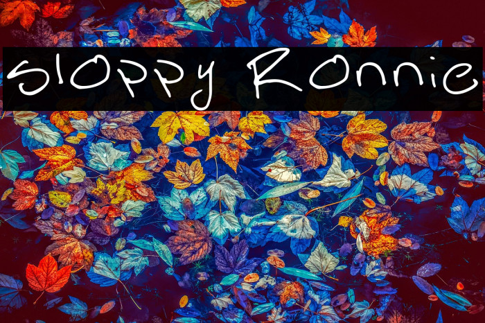 Sloppy Ronnie Example 1