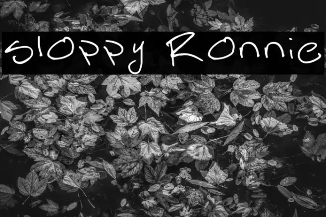Sloppy Ronnie 字体 examples