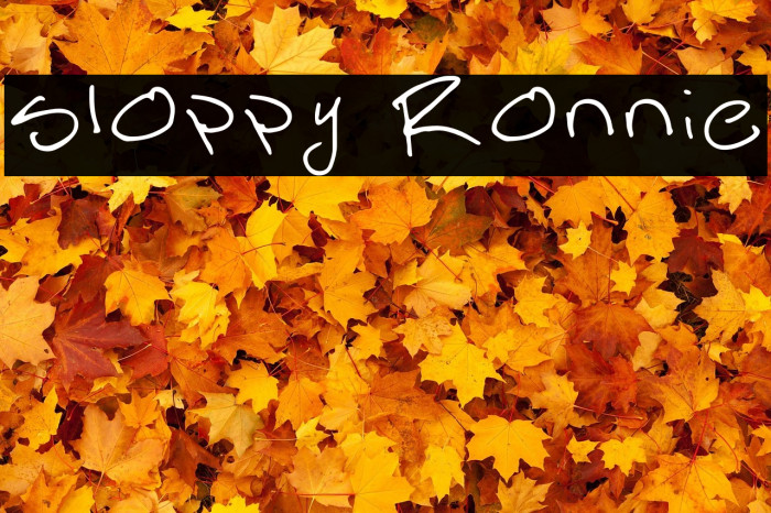 Sloppy Ronnie Example 2