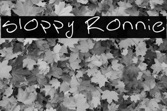 Sloppy Ronnie 字体 examples