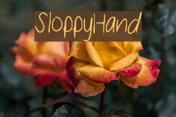 Sloppy_Hand Font examples