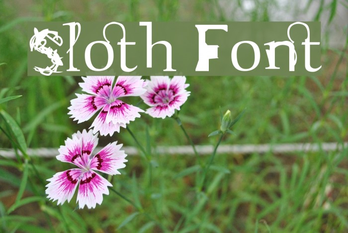 Sloth Font examples