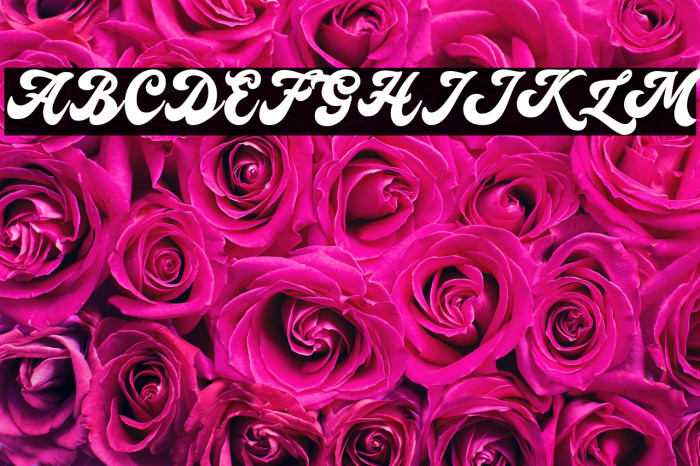 Slothdown Baby Example 2