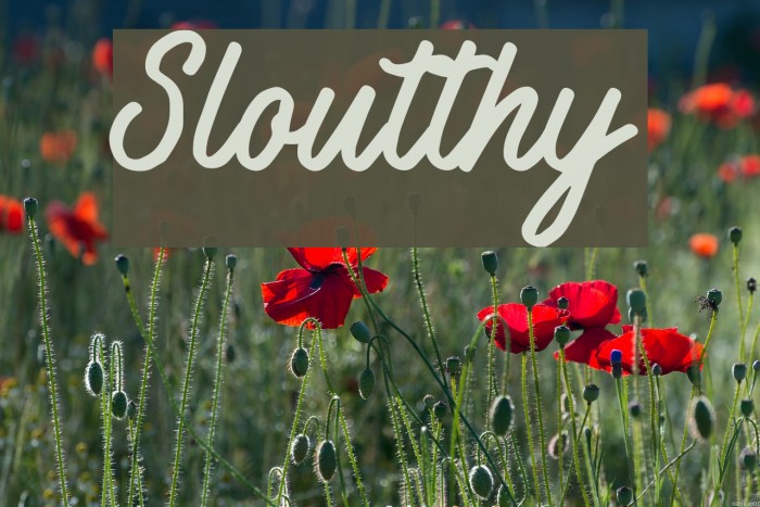 Sloutthy Font examples