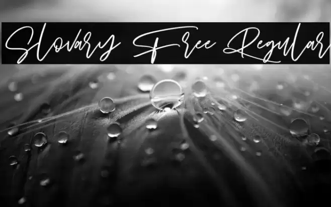 Slovary Free Regular Font examples