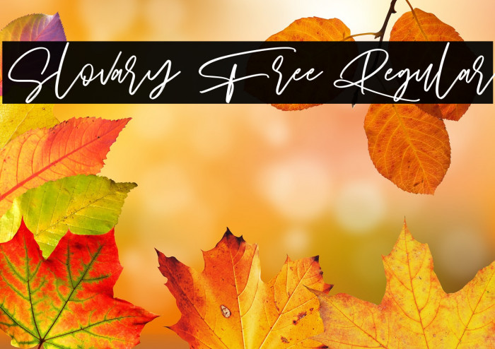 Slovary Free Regular Schriftart examples