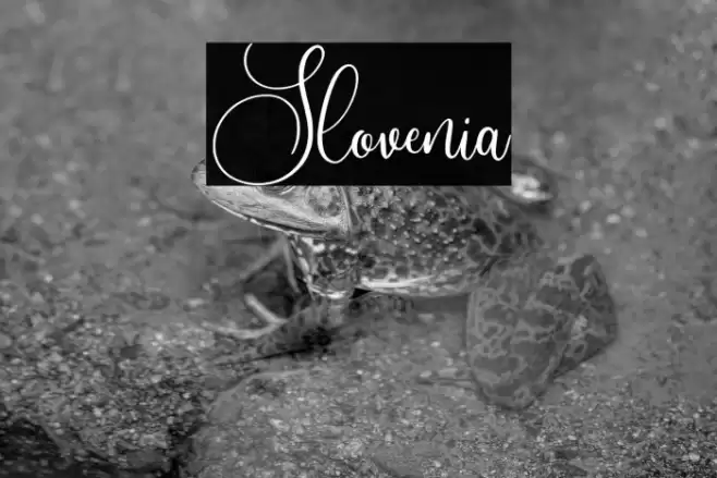 Slovenia Font examples