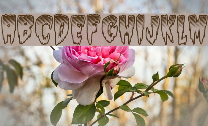 Slow Death Font examples