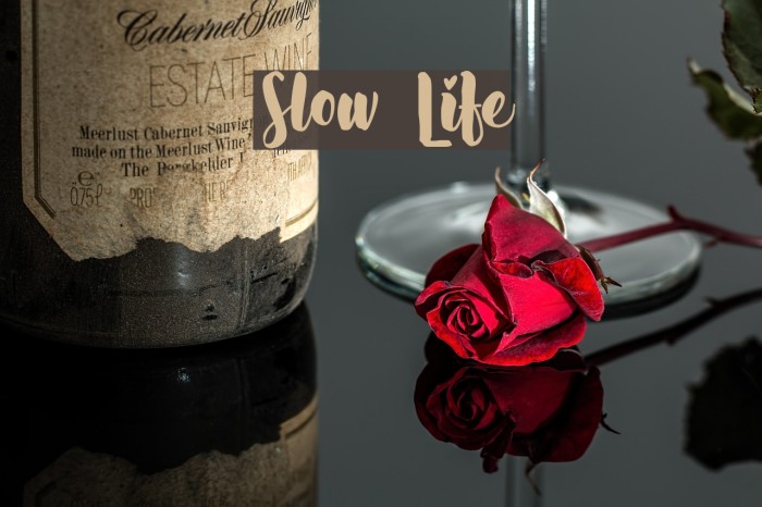 Slow Life Font examples