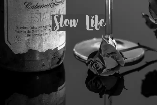 Slow Life Font examples