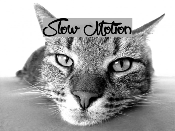 Slow Motion Font examples