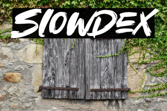 Slowdex Example 1