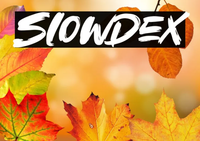 Slowdex Example 2