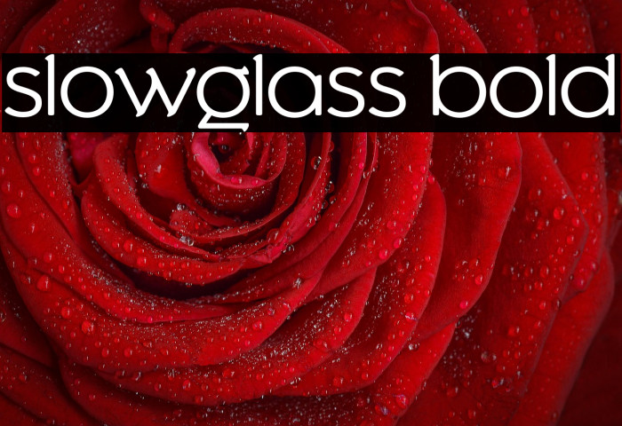 Slowglass Bold Example 2