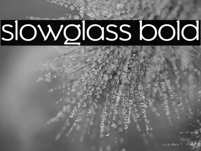 Slowglass Bold Font examples