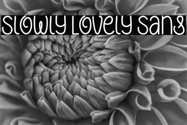 Slowly Lovely Sans Font examples
