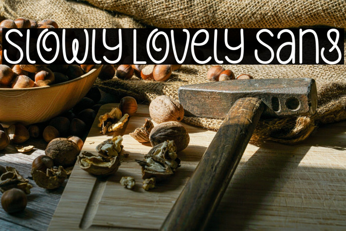 Slowly Lovely Sans Example 2